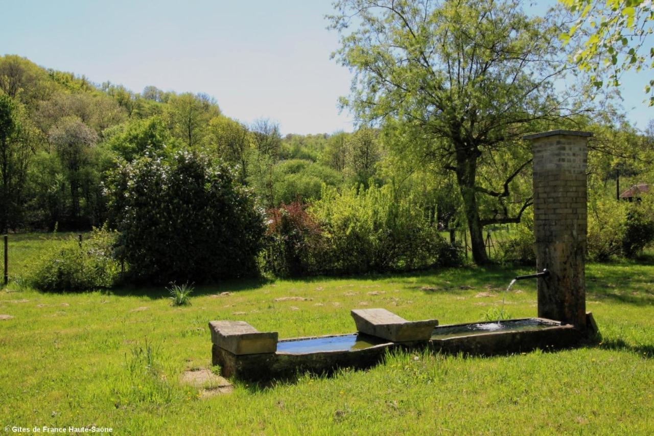 Fougerolles-Saint-Valbert Au Fil Du Temps Bed & Breakfast エクステリア 写真