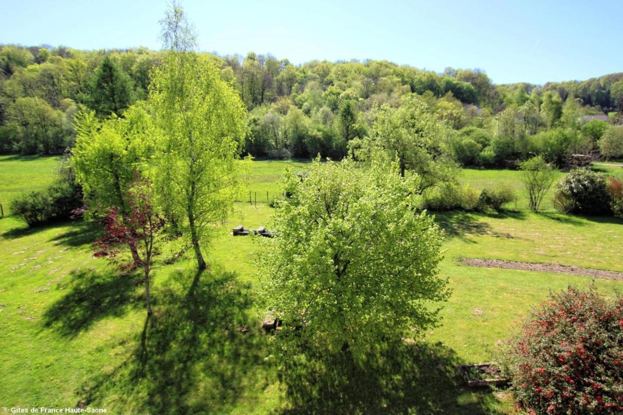 Fougerolles-Saint-Valbert Au Fil Du Temps Bed & Breakfast エクステリア 写真
